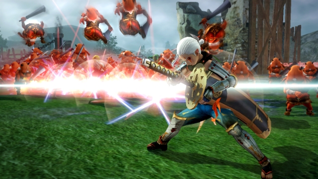 Hyrule Warriors (Wii U) image