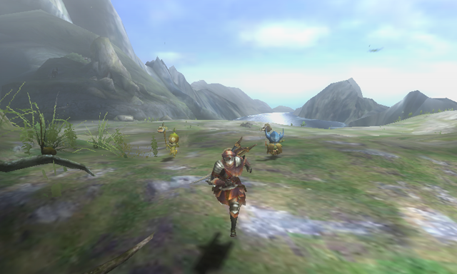 Monster Hunter 3: Ultimate asset
