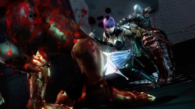 Ninja Gaiden 3: Razor's Edge (Wii U) image