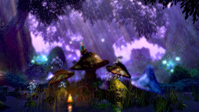 Trine: Enchanted Edition (Wii U) image