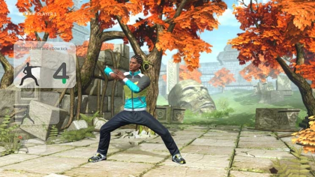 Your Shape: Fitness Evolved 2013 (Wii U) image