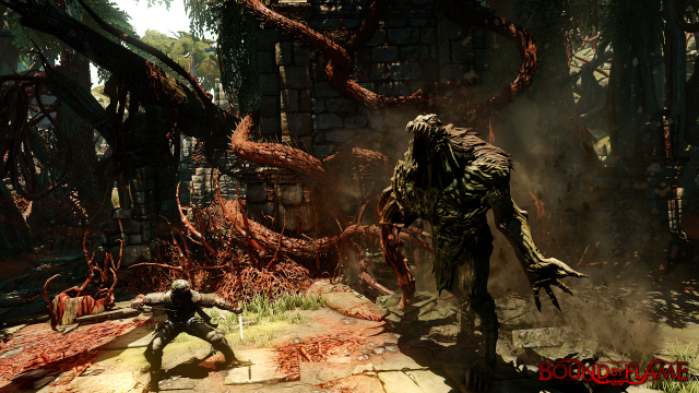 Bound by Flame (PlayStation 4) image