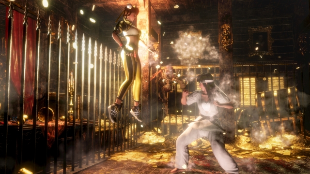Dead or Alive 6 (PlayStation 4) image