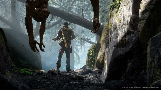 Days Gone (PlayStation 4) image
