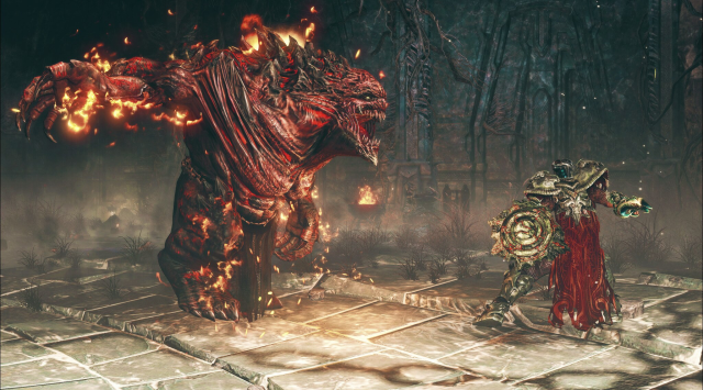 Lords of the Fallen (PlayStation 4) image