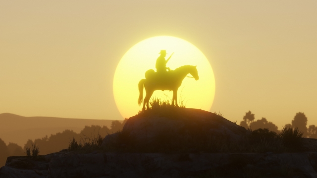 Red Dead Redemption 2 (PlayStation 4) image
