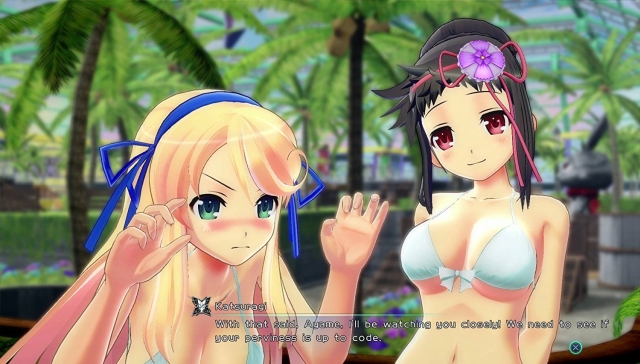 Senran Kagura: Peach Beach Splash (PlayStation 4) image