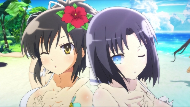 Senran Kagura: Peach Beach Splash (PlayStation 4) image