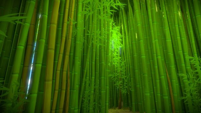 The Witness (PlayStation 4) image