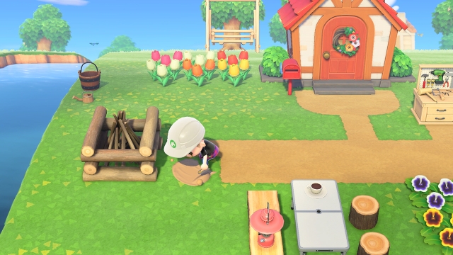 Animal Crossing: New Horizons (Switch) image