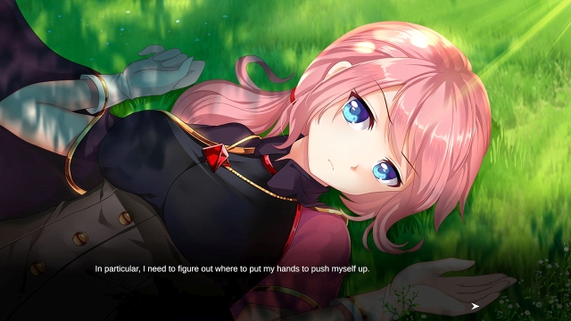 Ascendant Hearts (Switch) image