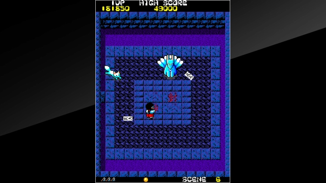 Arcade Archives: KiKi KaiKai (Switch) image