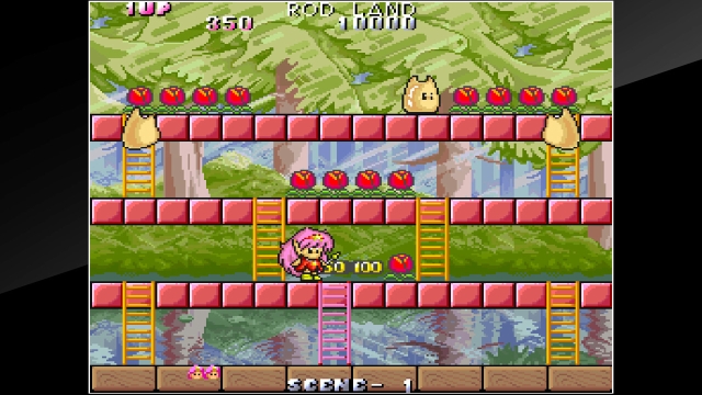 Arcade Archives: Rod Land (Switch) image