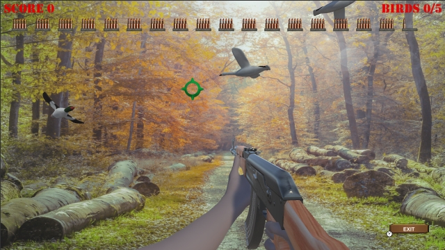 America Wild Hunting (Switch) image