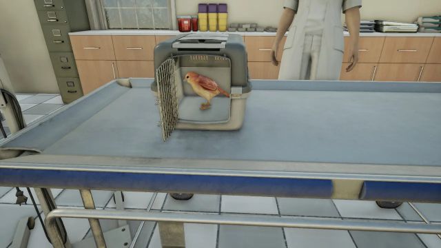 Animal Doctor (Switch) image