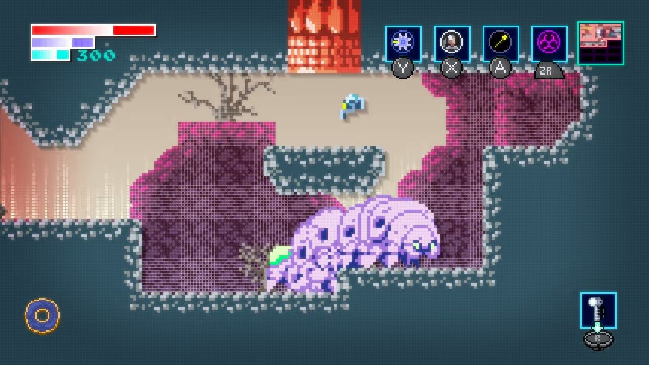 A plump purple worm crawls along a passageway.