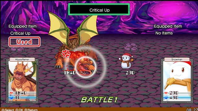 Brave Dungeon + Dark Witch Story: COMBAT (Switch) image
