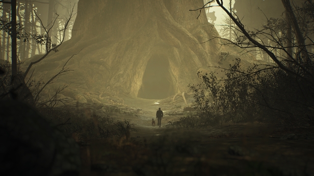 Blair Witch (Switch) image