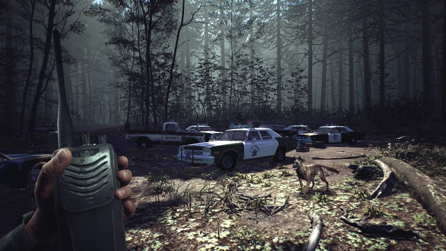 Blair Witch (Switch) image