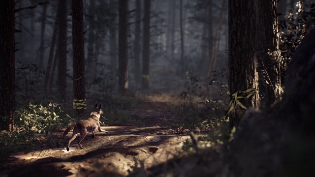 Blair Witch (Switch) image