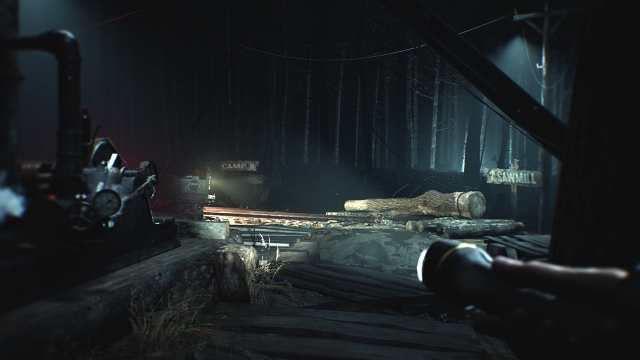 Blair Witch (Switch) image