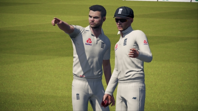 Cricket 19 (Switch) image