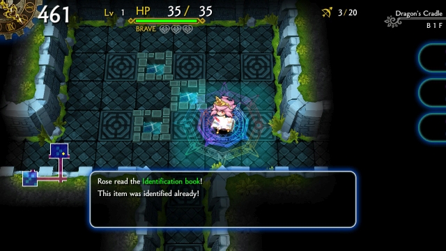 Dragon Fang Z: The Rose & Dungeon of Time (Switch) image