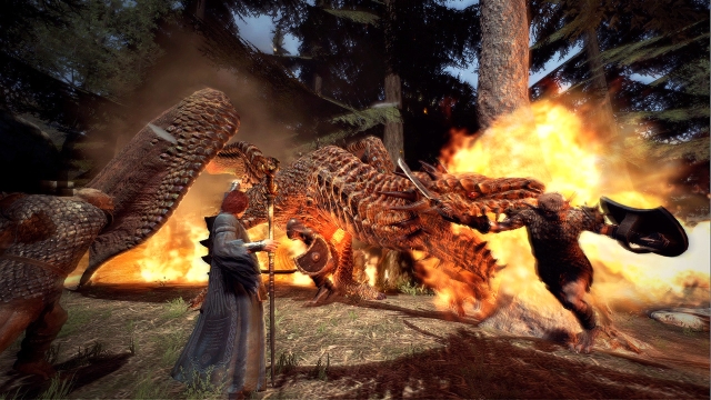 Dragon's Dogma: Dark Arisen (Switch) image