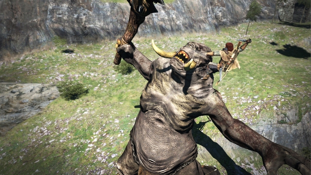 Dragon's Dogma: Dark Arisen (Switch) image