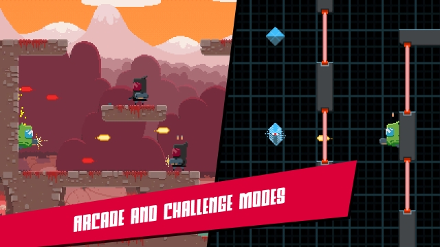 Domiverse (Switch) image