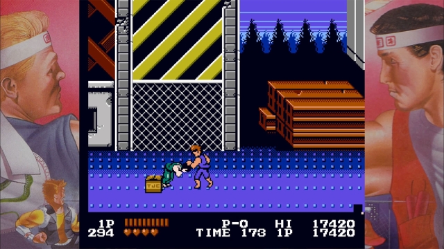 Double Dragon (Switch) image