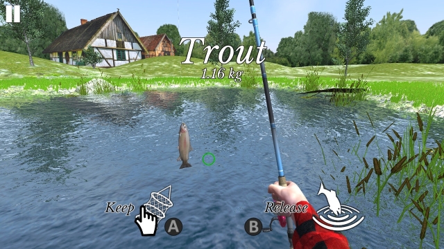 Fishing Universe Simulator (Switch) image
