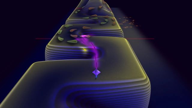 Flowing Lights (Switch) image