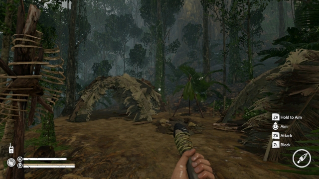 Green Hell (Switch) image