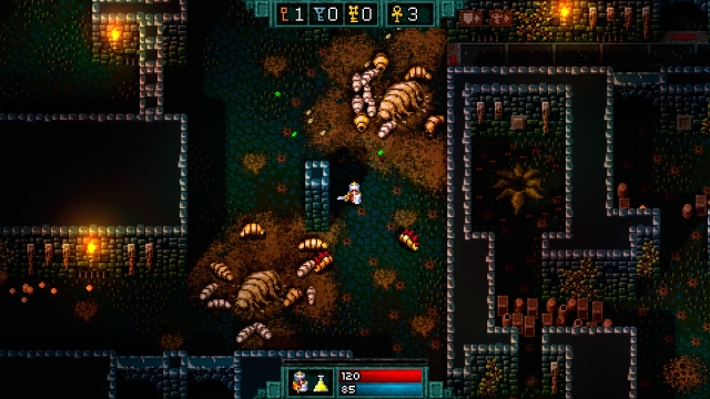 Hammerwatch (Switch) image