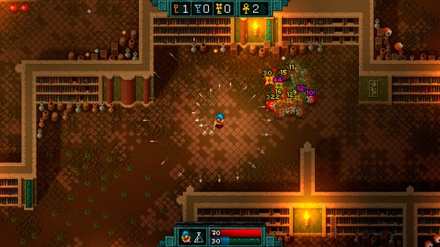 Hammerwatch (Switch) image