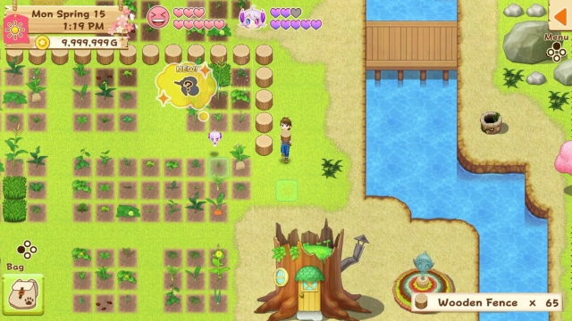 Harvest Moon: Light of Hope - Special Edition (Switch) image