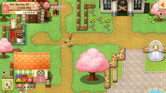 Harvest Moon: Light of Hope - Special Edition (Switch) image