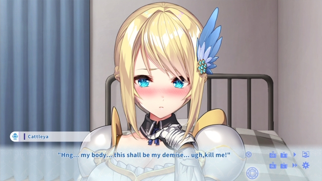 KukkoroDays (Switch) image