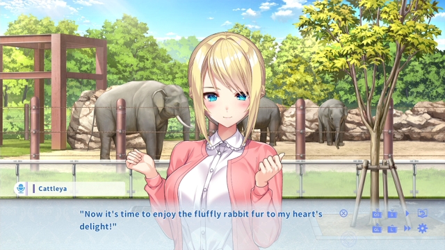KukkoroDays (Switch) image