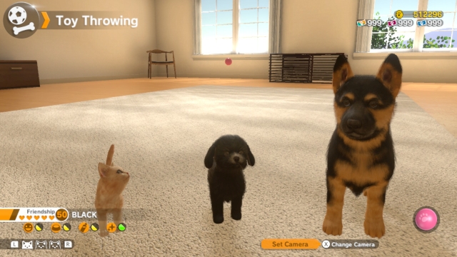 Little Friends: Dogs & Cats (Switch) image