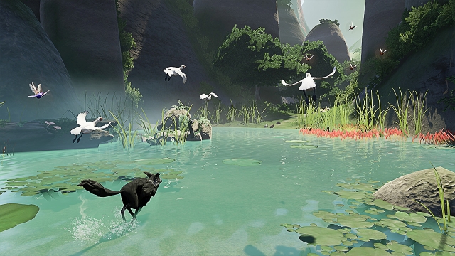 Lost Ember (Switch) image