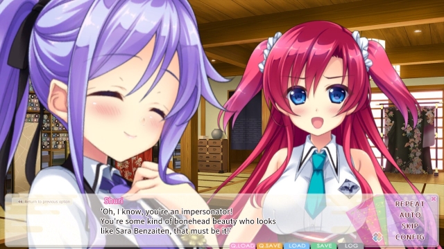 LoveKami: Divinity Stage (Switch) image