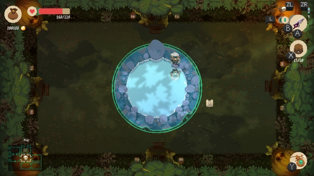 Moonlighter (Switch) image