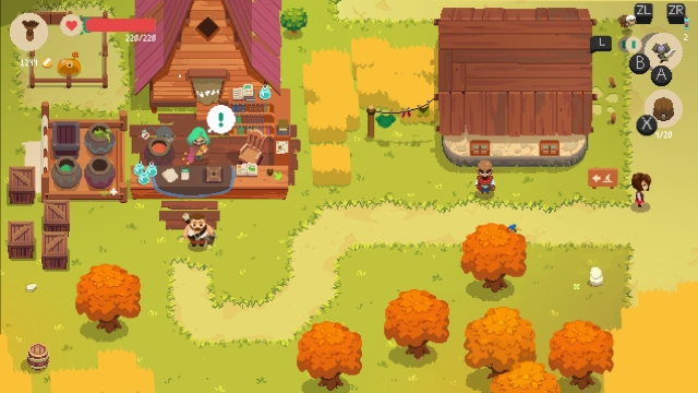 Moonlighter (Switch) image