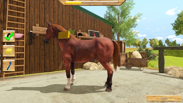 My Little Riding Champion (Switch) image
