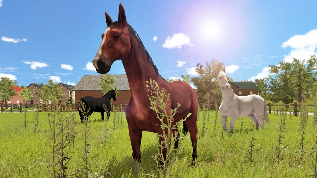 My Little Riding Champion (Switch) image