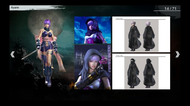 Ninja Gaiden: Master Collection (Switch) image