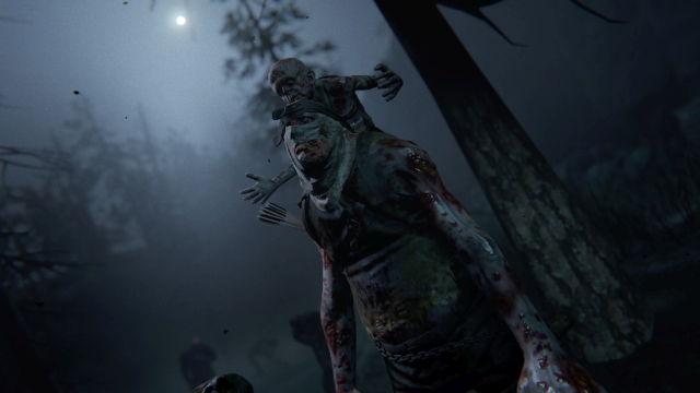 Outlast 2 (Switch) image