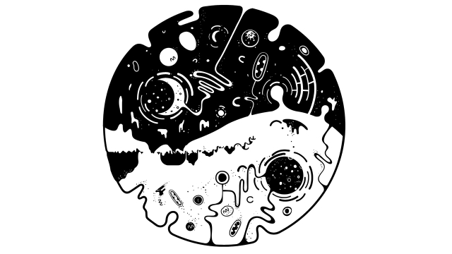 OVIVO (Switch) image